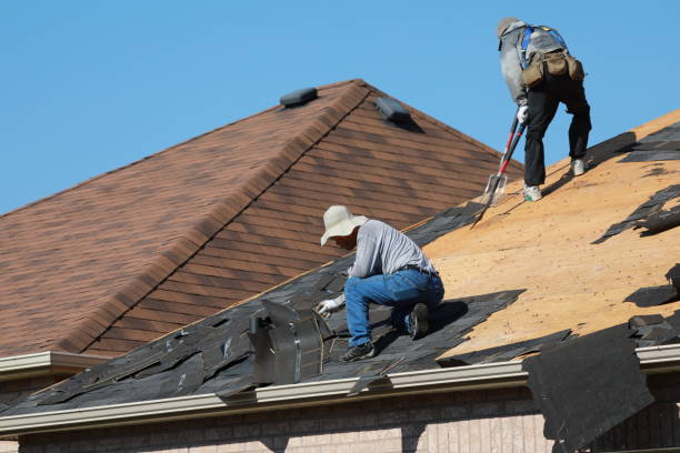 Best Asphalt Shingle Roofing  in Macon, MS