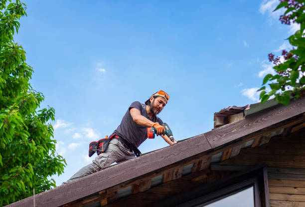 Best Roof Ventilation Installation  in Macon, MS