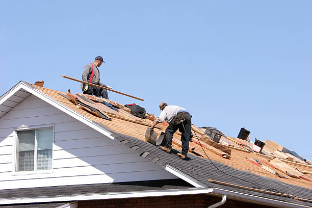 Best Roof Insulation Installation  in Macon, MS